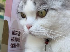 -悦宠动物医院(京丰分院)
