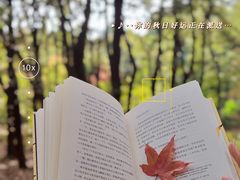 -昆明植物园
