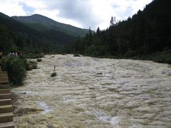 -黄龙山原始森林景区