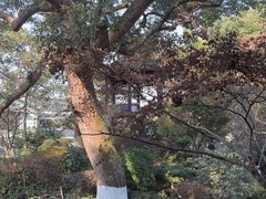 -浙江西子宾馆·瑶园咖啡厅