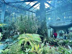 -东莞植物园