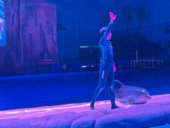 -华夏文旅海洋公园