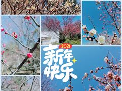 -郑州植物园