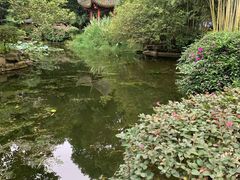 -望江楼公园