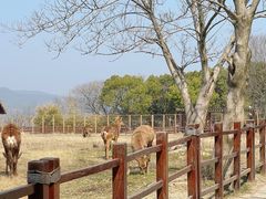 -良渚古城遗址公园
