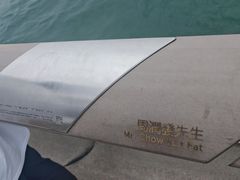 -星光大道