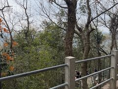 -灵顺寺