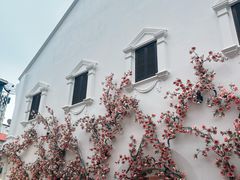 -普吉镇