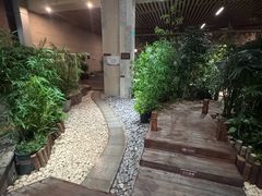 -白桦林温泉谷