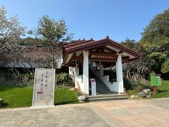 -中国茶叶博物馆(双峰馆区)