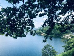 -阿哈湖国家湿地公园