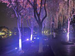 -滨湖塘西河公园