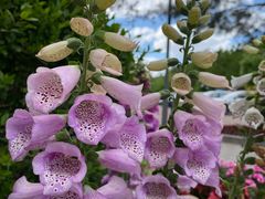 -长春市南湖公园