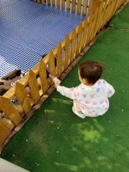 -萌宠亲子动物乐园(槐房万达店)