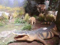 -陕西自然博物馆