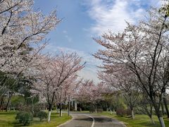 -尚贤河湿地