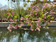 -元大都城垣遗址公园