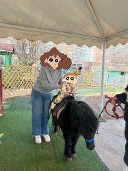 -萌宠亲子动物乐园(槐房万达店)