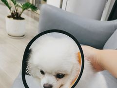 -良伴无忧宠物医院(泰欣嘉园店)