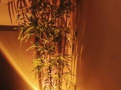 -宁采臣Sleep·采耳·SPA放松馆(湖里万达店)