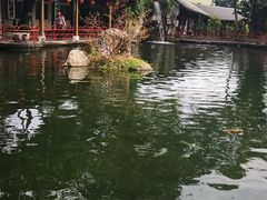 -瑞穗牧场