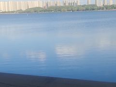 -丁香湖公园