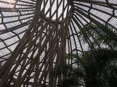 -江门古劳水乡旅游区