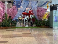 -河内内排国际机场