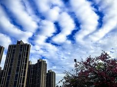 -史努比缤纷世界