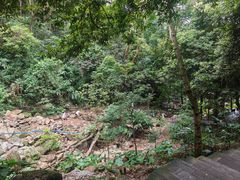 -火炉山森林公园