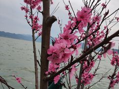 -东钱湖小普陀景区