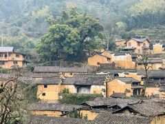 -杨家堂村