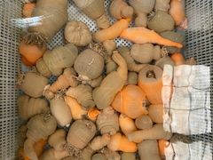 -望海潮海鲜店 特色家常菜(在海一方店)