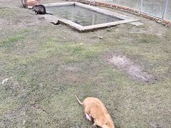 -长兴太湖图影湿地文化园