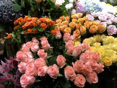 -爱尚幸福鲜花(上地实体店)
