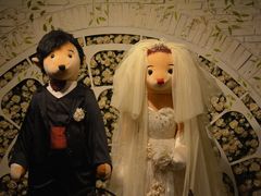 -济州岛泰迪熊博物馆