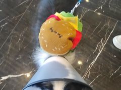 -宠颐生斯嘉宠物医院·急重症·心内科(谷阳北路分院)