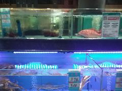 -阿伟海鲜楼·福建菜(延寿店)