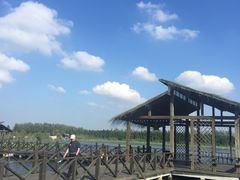 -溱湖国家湿地公园