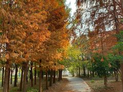 -浦星公路-路侧停车位