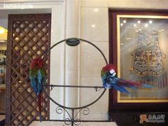 -月亮河温泉度假酒店