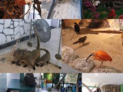 -海合安武汉极地海洋公园