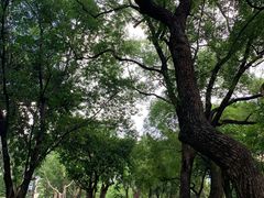 -晓港公园