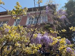 -中山路壹号传奇club·啤酒花园餐厅