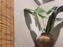 -本处·素食·融合料理(南油店)