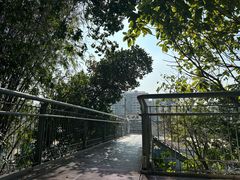 -佛山华盖山公园