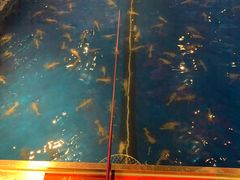 -钳真多钓虾馆·小龙虾海鲜烧烤(九六广场店)