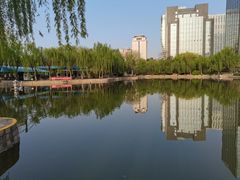 -团结湖公园