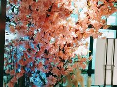 -野妹火锅(龙岗店)