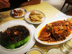 -新侨小馆(东直门北小街店)